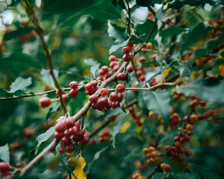 Photography as a compounding process.